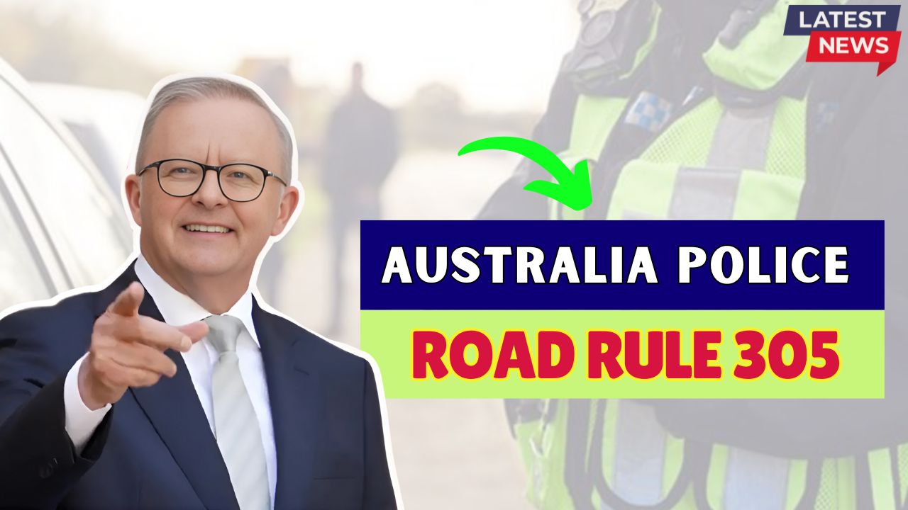 Road Rule 305